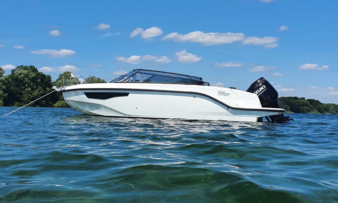 Silver Viper DcZ — Photo 1