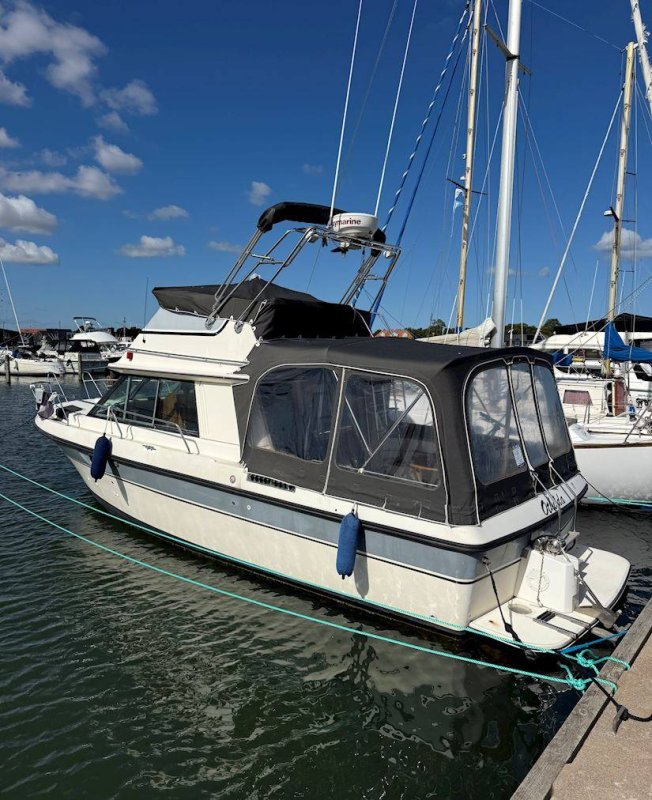 Bertram 30 Fly