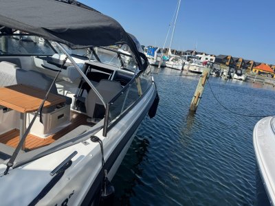 Silver Viper DcZ — Photo 6
