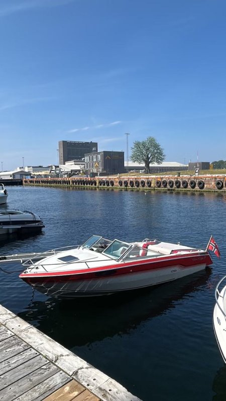 Chris Craft 210 Scorpion limited